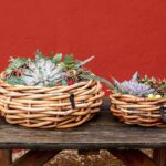 2er Set Rattanschalen in den Größen Ø 36cm und 54 cm von A2 Living