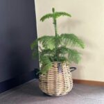 Rattankorb Pear 29 x 30cm in Birnenform aus Kubu-Rattan A2 Living