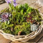 A2 Living Rattan Schale Kubu 45 cm Durchmesser