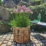 Pflanzkorb A2 Living Rattan Korb Maxi rund low Durchmesser 45 cm, Höhe 39 cm