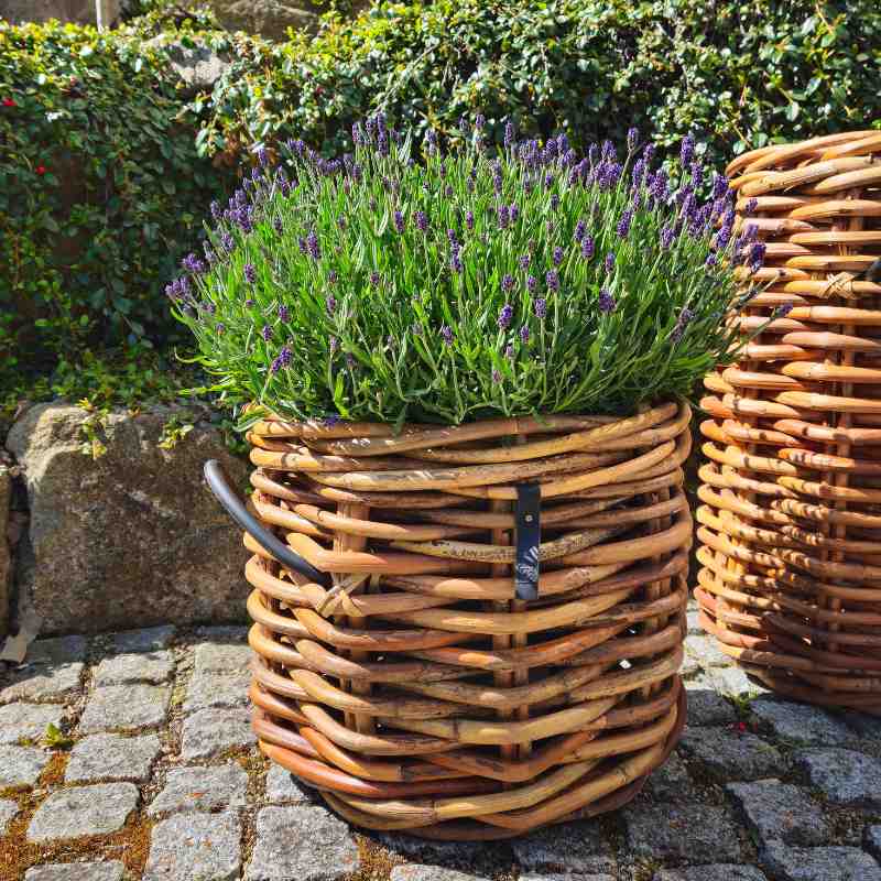 Rattan-Korb rund Maxi Low 45×39 cm