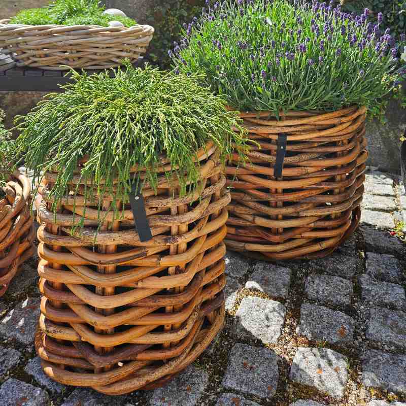 A2 Living Rattan Korb Mini rund Durchmesser 32 cm, Höhe 40 cm