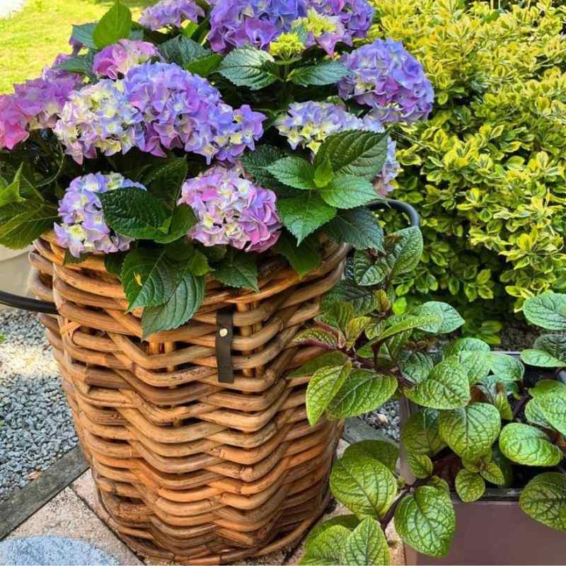 A2 Living Rattan Korb Mini rund Durchmesser 32 cm, Höhe 40 cm