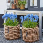 A2 Living Rattan Korb Mini rund low Durchmesser 32 cm, Höhe 24 cm