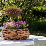 A2 Living Rattan Korb, Schale maxi für Indoor und Outdoor, naturbelassen