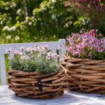 A2 Living Rattan Korb, Schale mini für Indoor und Outdoor, naturbelassen
