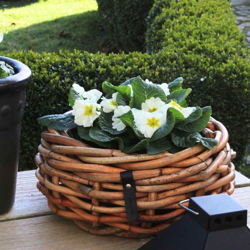 A2 Living Rattan Korb, Schale mini für Indoor und Outdoor, naturbelassen