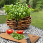A2 Living Rattan Korb, Schale mini für Indoor und Outdoor, naturbelassen