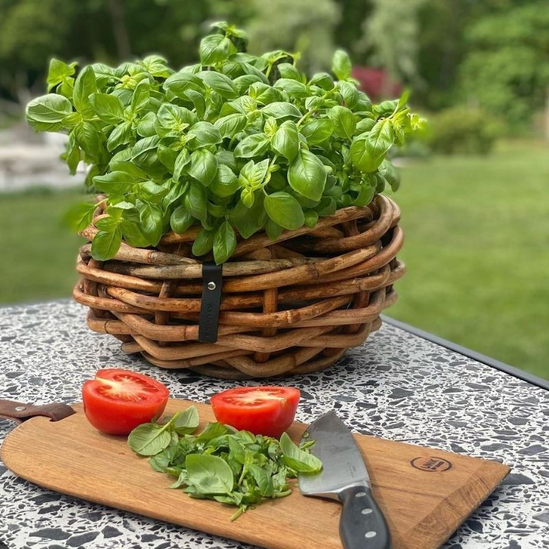 A2 Living Rattan Korb, Schale mini für Indoor und Outdoor, naturbelassen