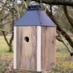 Vogelhaus Birdy Sleep aus recyceltem Holz von A2 Living