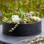 Pflanztablett schwarz 2er Set von A2 Living