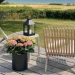 Metall Blumentopf, 2er Set, schwarz von A2 Living