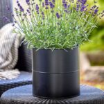 Pflanztopf schwarz von A2 Living im 3er Set
