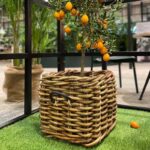 Rattankorb eckig groß Maxi Low von A2 Living. Länge 41 cm x Breite 41 cm x Höhe 39 cm