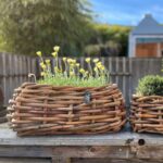 A2 Living Rattan Schale Maxi, eckig