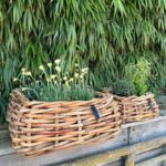 A2 Living Rattan Schale Maxi, eckig