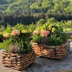 A2 Living Rattan Schale Maxi, eckig