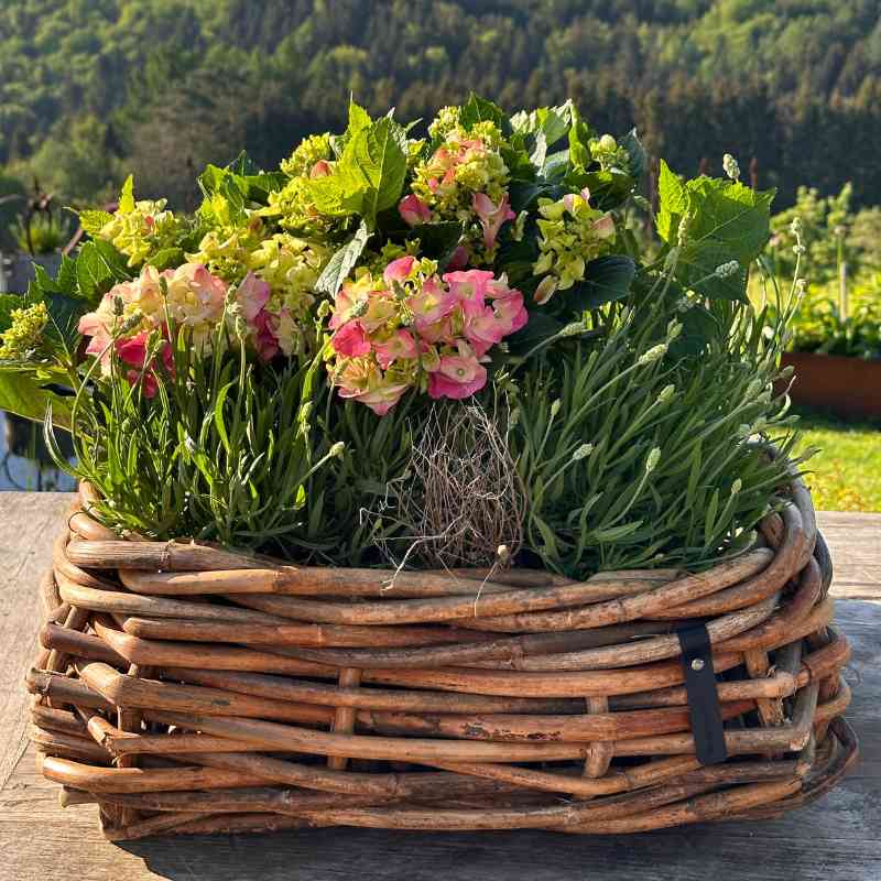 A2 Living Rattan Schale Maxi, eckig