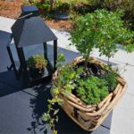 A2 Living Rattan Schale Mini, eckig