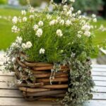 A2 Living Rattan Schale Mini, eckig