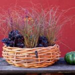A2 Living Rattan Schale, Mega rund 70x25 cm