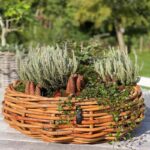 A2 Living Rattan Schale, Mega rund 70x25 cm