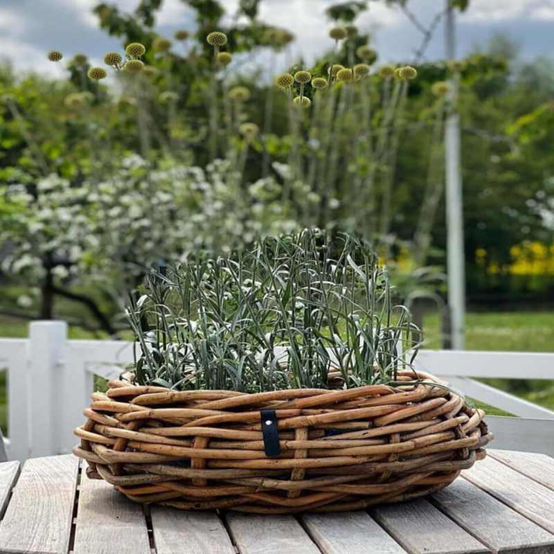 A2 Living Rattan Schale, Mega rund 70x25 cm