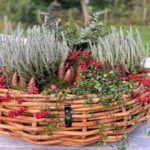 A2 Living Rattan Schale, Mega rund 70x25 cm