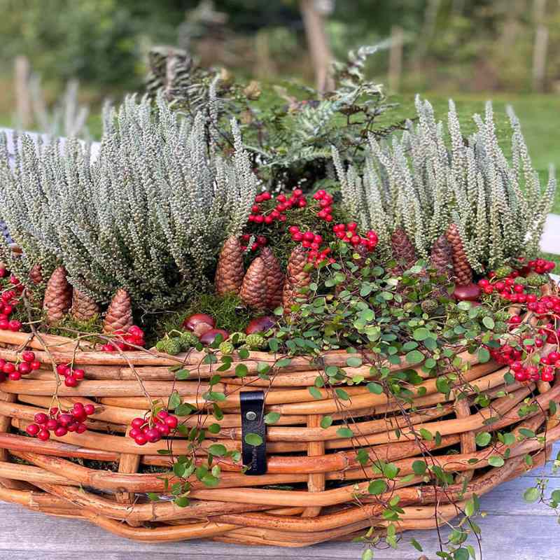 A2 Living Rattan Schale, Mega rund 70x25 cm