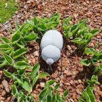 Käfer, Beetle von DBKD natur aus Beton, Gartendeko
