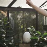 Hang around DBKD Keramik in weiß