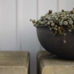 Schwarze Pflanzschalen Out Bowl im 3er Set von DBKD