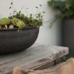 Pflanzschale Out Bowl schwarz, im 3er Set von DBKD