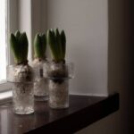 Vase Keeper aus Glas von DBKD in drei Größen