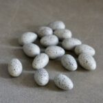 DBKD Dekoeier Mole Dot