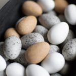 DBKD Dekoeier Mole Dot