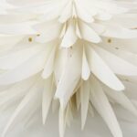 Papierstern Dust off-white in zwei Größen von House Doctor