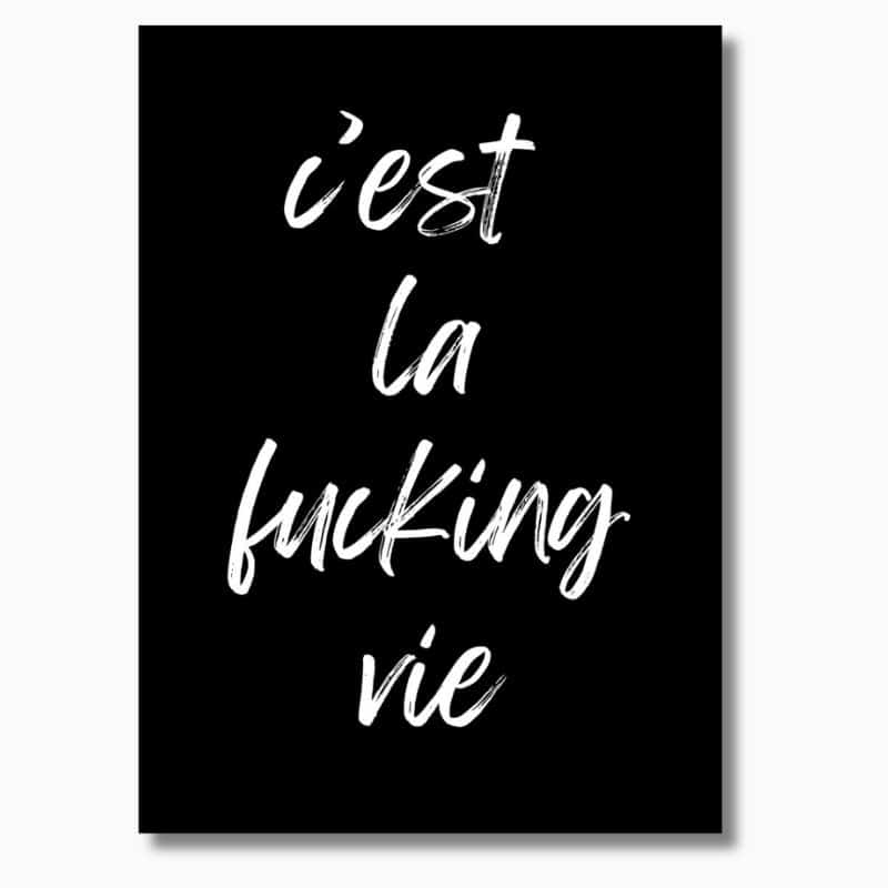 Poster schwarz weiß mit Aufdruck c'est la fucking vie, Maße 70x50 cm