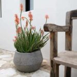 Pflanztopf Harley grau von Pottery Pots