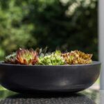 Pflanzschale Monique M von Pottery Pots, schwarz, Fiberstone