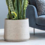 Pflanztopf Patt XXL beige-hellgrau von Pottery Pots