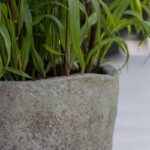 Pflanztopf Russell S von Pottery Pots, grau, Steinoptik