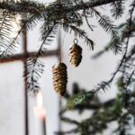 Weihnachtszapfen Cone von House Doctor, gold, 2er Set