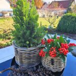 A2 Living Rattan-Korb Blumentopf 'Pear" für Drinnen und Draußen, Höhe 18 cm, Durchmesser 24 cm