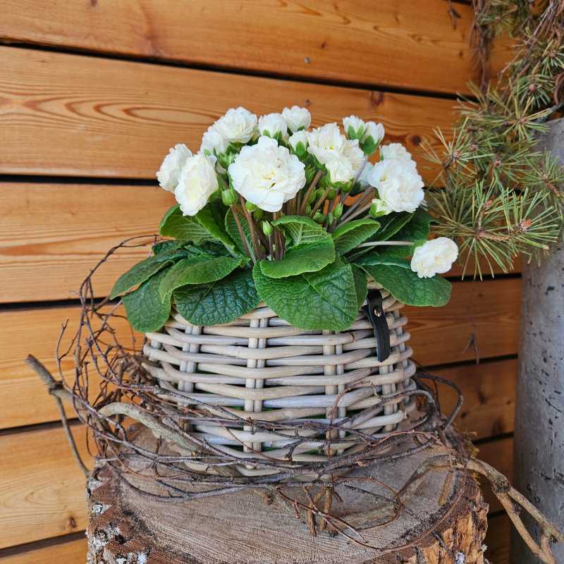 A2 Living Rattan-Korb Blumentopf 'Pear" für Drinnen und Draußen, Höhe 18 cm, Durchmesser 24 cm