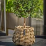 A2 Living Rattan-Korb Blumentopf 'Pear" für Drinnen und Draußen, Höhe 18 cm, Durchmesser 24 cm