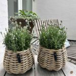A2 Living Rattan-Korb Blumentopf 'Pear" für Drinnen und Draußen, Höhe 18 cm, Durchmesser 24 cm