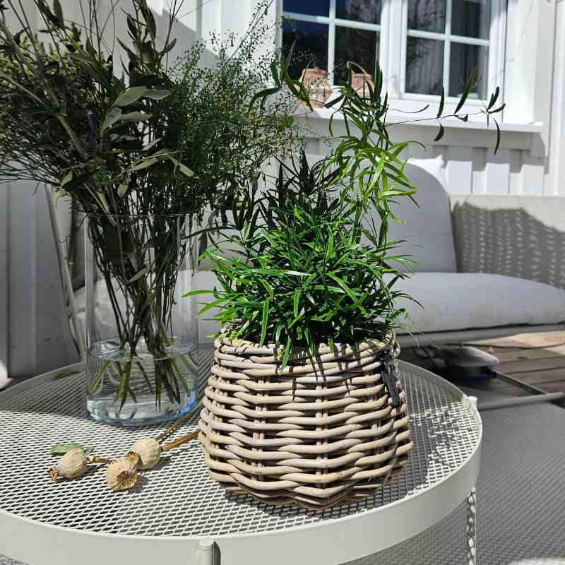 Rattan-Blumentopf KUBU “Pear”