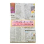 Biomülltüten aus Zeitungspapier, 8er Set