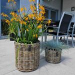 Kubu Rattan-Körbe rund in 3 Größen von A2 Living, für Indoor und Outdoor